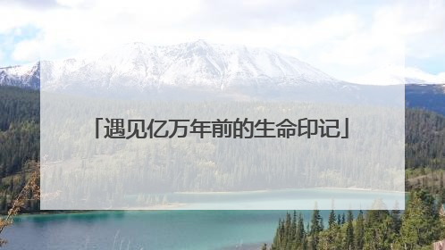 遇见亿万年前的生命印记