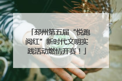邳州第五届“悦跑阅红”新时代文明实践活动燃情开赛！