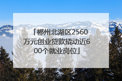 郴州北湖区2560万元创业贷款撬动近600个就业岗位