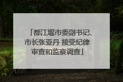 都江堰市委副书记、市长张亚丹 接受纪律审查和监察调查