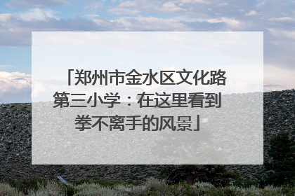 郑州市金水区文化路第三小学：在这里看到拳不离手的风景