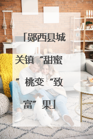 郧西县城关镇“甜蜜”桃变“致富”果