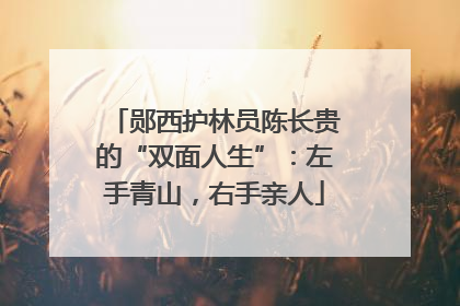 郧西护林员陈长贵的“双面人生”：左手青山，右手亲人