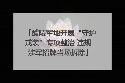 醴陵军地开展“守护戎装”专项整治 违规涉军招牌当场拆除