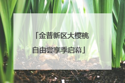 金普新区大樱桃自由尝享季启幕