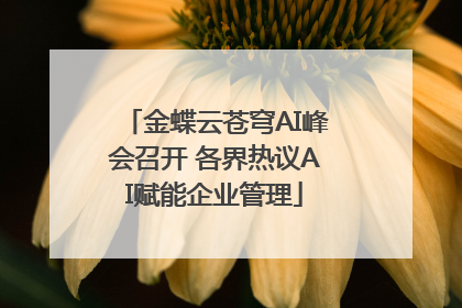 金蝶云苍穹AI峰会召开 各界热议AI赋能企业管理