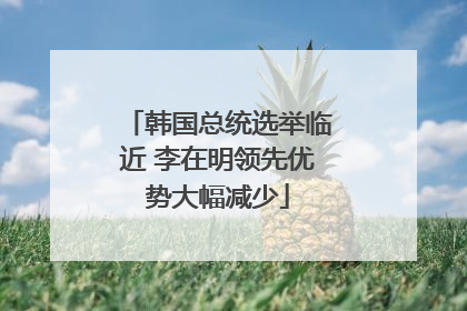 韩国总统选举临近 李在明领先优势大幅减少