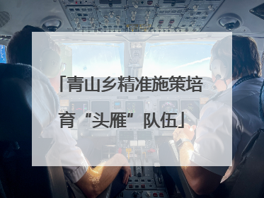 青山乡精准施策培育“头雁”队伍
