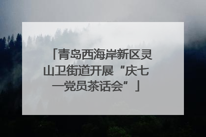青岛西海岸新区灵山卫街道开展“庆七一党员茶话会”