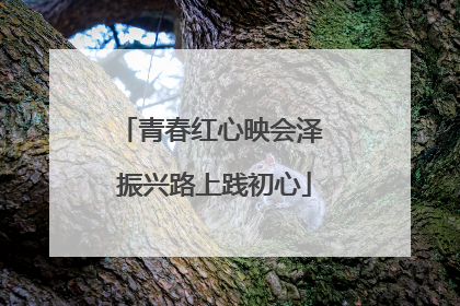 青春红心映会泽 振兴路上践初心