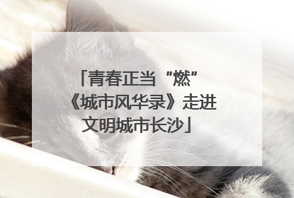 青春正当“燃” 《城市风华录》走进文明城市长沙