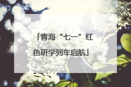 青海“七一”红色研学列车启航