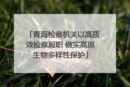 青海检察机关以高质效检察履职 做实高原生物多样性保护