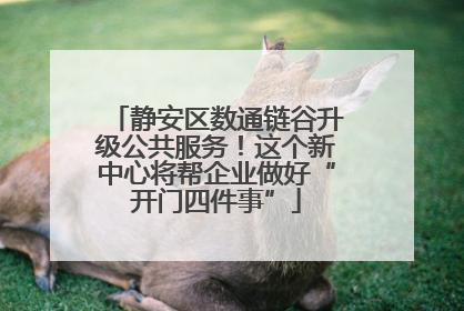 静安区数通链谷升级公共服务！这个新中心将帮企业做好“开门四件事”
