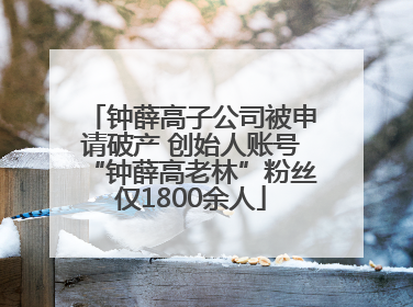 钟薛高子公司被申请破产 创始人账号“钟薛高老林”粉丝仅1800余人