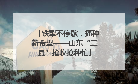 铁犁不停歇，播种新希望——山东“三夏”抢收抢种忙