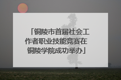 铜陵市首届社会工作者职业技能竞赛在铜陵学院成功举办