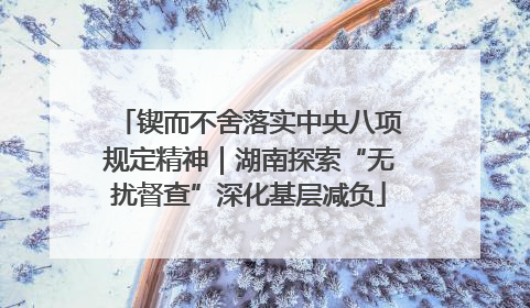 锲而不舍落实中央八项规定精神｜湖南探索“无扰督查”深化基层减负