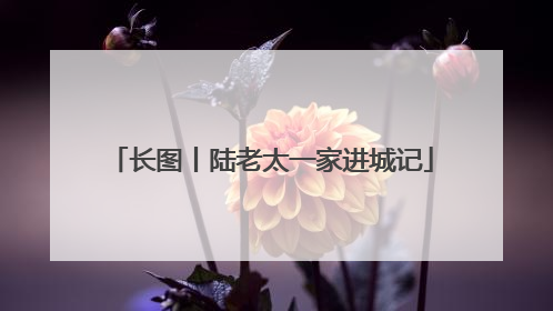 长图丨陆老太一家进城记
