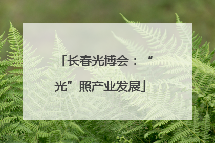 长春光博会：“光”照产业发展