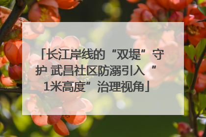 长江岸线的“双堤”守护 武昌社区防溺引入“1米高度”治理视角