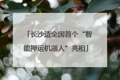 长沙造全国首个“智能押运机器人”亮相