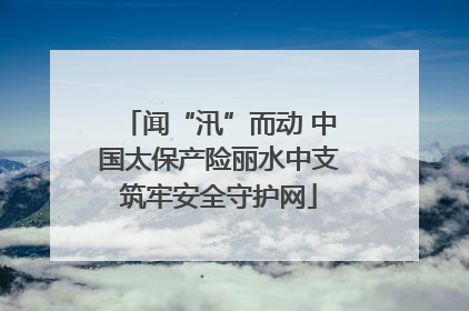 闻“汛”而动 中国太保产险丽水中支筑牢安全守护网
