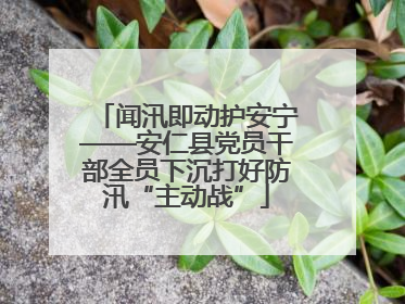 闻汛即动护安宁——安仁县党员干部全员下沉打好防汛“主动战”