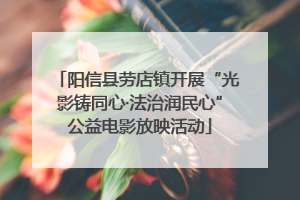 阳信县劳店镇开展“光影铸同心·法治润民心”公益电影放映活动