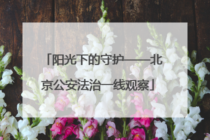 阳光下的守护——北京公安法治一线观察