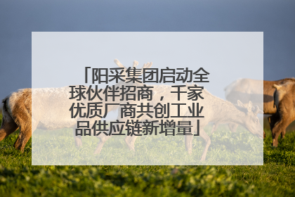 阳采集团启动全球伙伴招商，千家优质厂商共创工业品供应链新增量