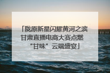 陇原新星闪耀黄河之滨 甘肃直播电商大赛点燃“甘味”云端盛宴