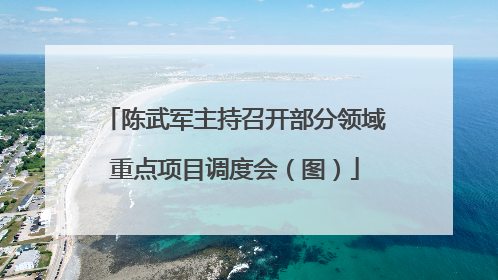 陈武军主持召开部分领域重点项目调度会（图）