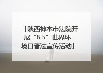 陕西神木市法院开展“6.5”世界环境日普法宣传活动