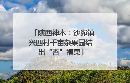 陕西神木：沙峁镇兴四村千亩杂果园结出“杏”福果