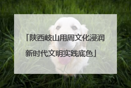 陕西岐山用周文化浸润新时代文明实践底色