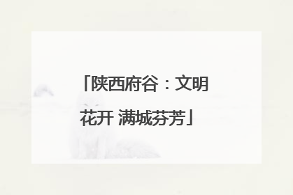 陕西府谷：文明花开 满城芬芳