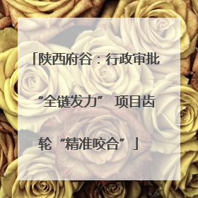 陕西府谷：行政审批“全链发力” 项目齿轮“精准咬合”