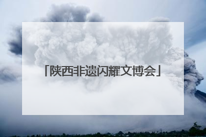 陕西非遗闪耀文博会