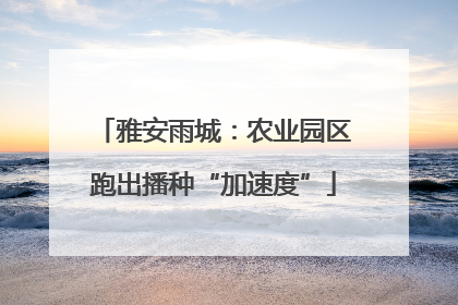 雅安雨城：农业园区跑出播种“加速度”