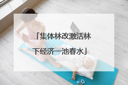 集体林改激活林下经济一池春水