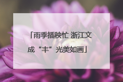 雨季插秧忙 浙江文成“丰”光美如画