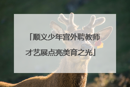 顺义少年宫外聘教师才艺展点亮美育之光