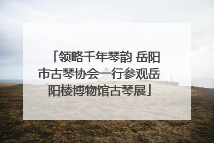 领略千年琴韵 岳阳市古琴协会一行参观岳阳楼博物馆古琴展