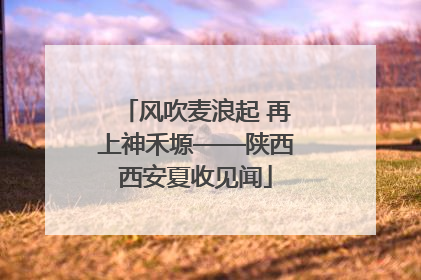 风吹麦浪起 再上神禾塬——陕西西安夏收见闻