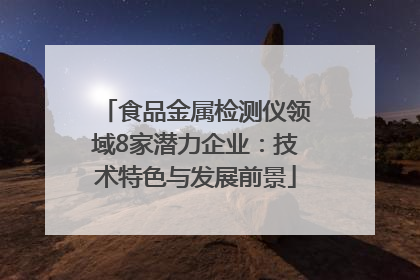 食品金属检测仪领域8家潜力企业：技术特色与发展前景