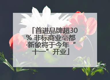 首进品牌超30% 非标商业亳都·新象将于今年“十一”开业