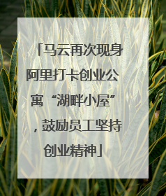 马云再次现身阿里打卡创业公寓“湖畔小屋”，鼓励员工坚持创业精神