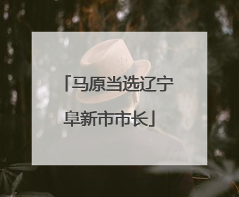 马原当选辽宁阜新市市长