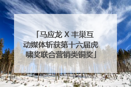 马应龙 X 丰巢互动媒体斩获第十六届虎啸奖联合营销类铜奖